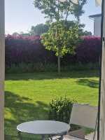 B&B Elios a Badino - Terracina