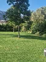 B&B Elios a Badino - Terracina