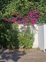 B&B Elios a Badino - Terracina