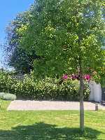 B&B Elios a Badino - Terracina