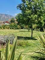 B&B Elios a Badino - Terracina