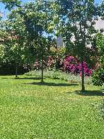 B&B Elios a Badino - Terracina