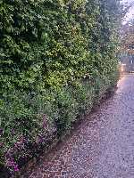 B&B Elios a Badino - Terracina