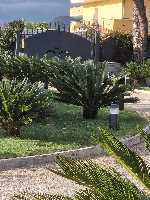 B&B Elios a Badino - Terracina