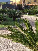 B&B Elios a Badino - Terracina