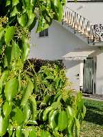 B&B Elios a Badino - Terracina