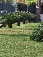 B&B Elios a Badino - Terracina