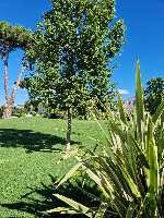 B&B Elios a Badino - Terracina
