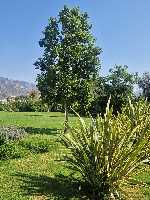 B&B Elios a Badino - Terracina